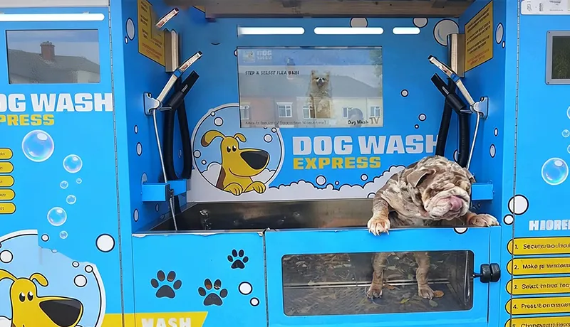  Technology Empowers Pet Care — Foodline’s Intelligent Pet Washing Machine Stands Out with Strength, Unlocking a New Grooming Method