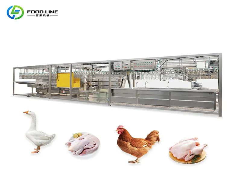For Food Service & Retail Automation